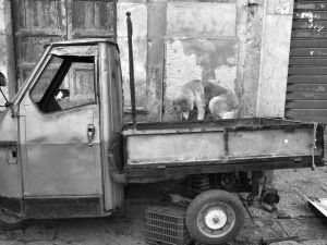 P5266087bw2FT.jpg