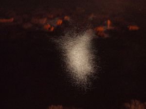 P5306572FT.jpg