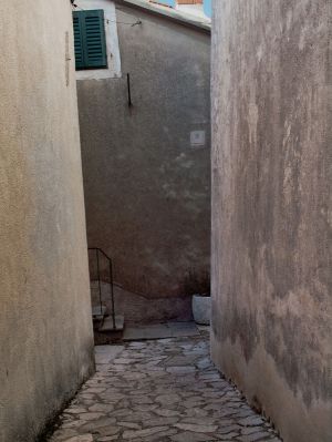 P3095596-1.jpg