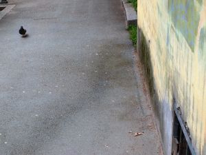 P6077630F-2015.jpg