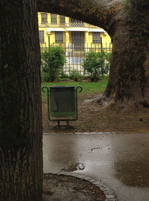 P4236893FF-1.jpg