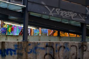 PB303809F2-c47.jpg