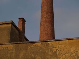 P1224674-c57.jpg