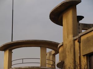 P1224679-c14.jpg
