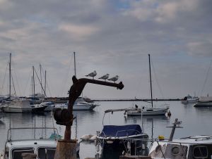 P1262014F-c22.jpg