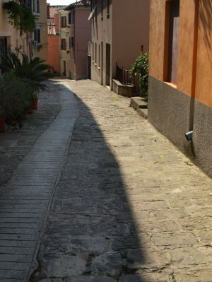 P3202578-c17.jpg