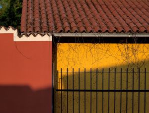 P5079622FFF-c24.jpg