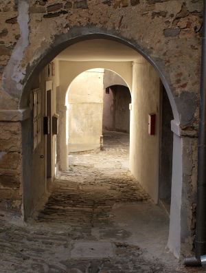 P9262234-c22.jpg