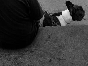 P7178177BW1.jpg