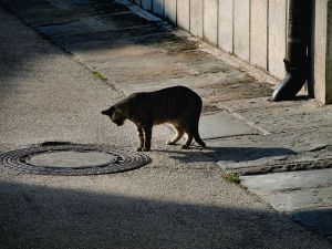 P6167834F-1.jpg