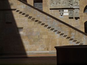 P5243260F1.jpg