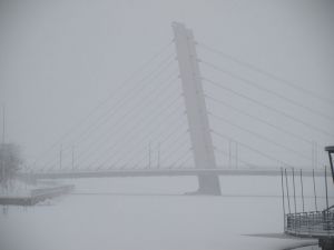 P2061818F.jpg