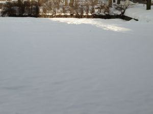 P3062832F.jpg
