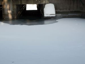 P3102852F-1.jpg