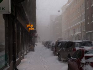 PB300696-1.jpg