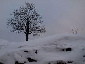 PC220892-1-3.jpg